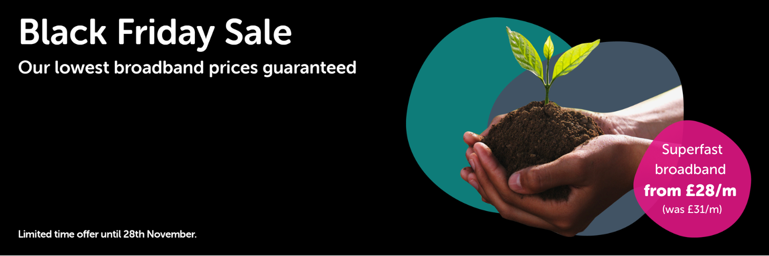 Black Friday advert with hands holding a tree seedling